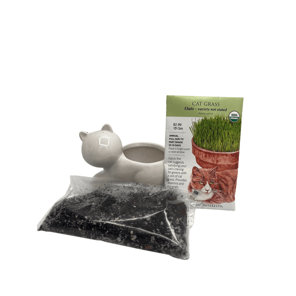 DIY Cat Grass Growing Kit with 2.5" Ceramic Cat Planter, Organic Seeds and Soil - Fast Growing