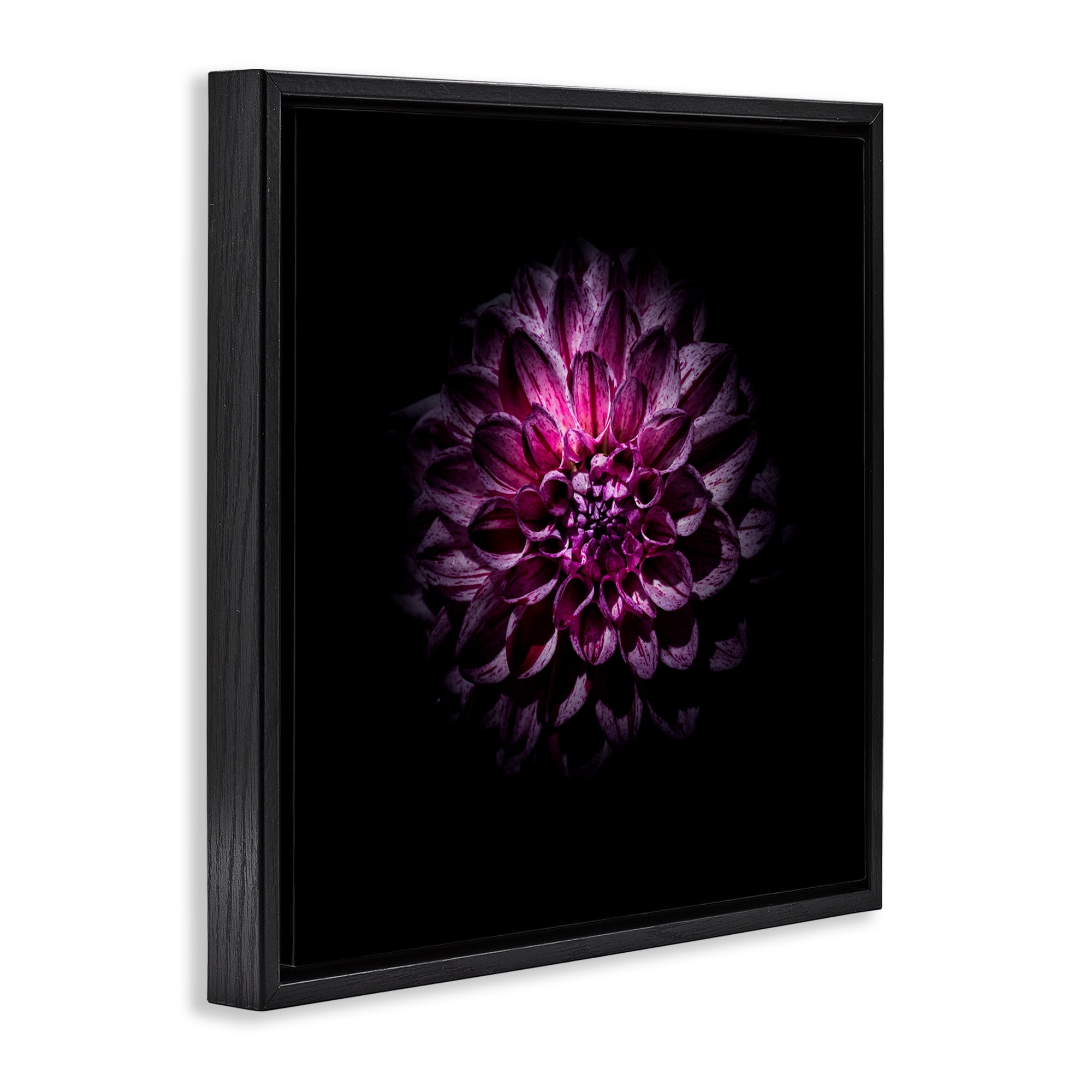 Purple Dahlia Dark Contemporary Black Framed Floater Canvas Wall Art, design by Brian Carson Photography