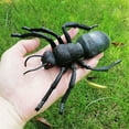 thumbnail image 4 of HeroNeo Insect Simulation Model Toys Simulation Wildlife Model Ornaments Creepy Lifelike, 4 of 15