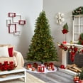 thumbnail image 4 of Nearly Natural Home Decorative 7.5 Inch Rembrandt Christmas Tree w/Clear Lights, 4 of 6