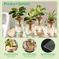 thumbnail image 3 of NewHome 4Pack Glass Propagation Stations For Plants Indoor Glass Planters Hydroponic Plant Vases 2 Large 2 Small for Plant Cuttings Flower Arrangements, 3 of 8