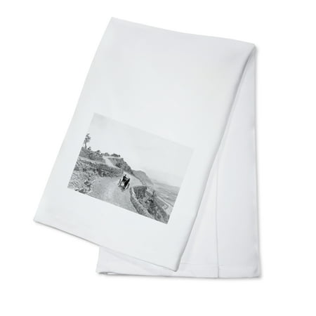 - Carriage on the Sky Line Drive in Colorado Photograph (100% Cotton Kitchen Towel)
