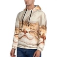 thumbnail image 3 of Sikiie Sleeping Cat In Blanket Men's Hoodie, Essentials Hoodie, Sweatshirt, Pullover Hooded Sweatshirt for Men-4X-Large, 3 of 7