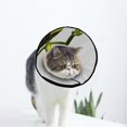 thumbnail image 1 of Collier de Récupération Doux pour Chat et Chien Grenouille Ajustable après Chirurgie pour Chat et Chiot, 1 of 1