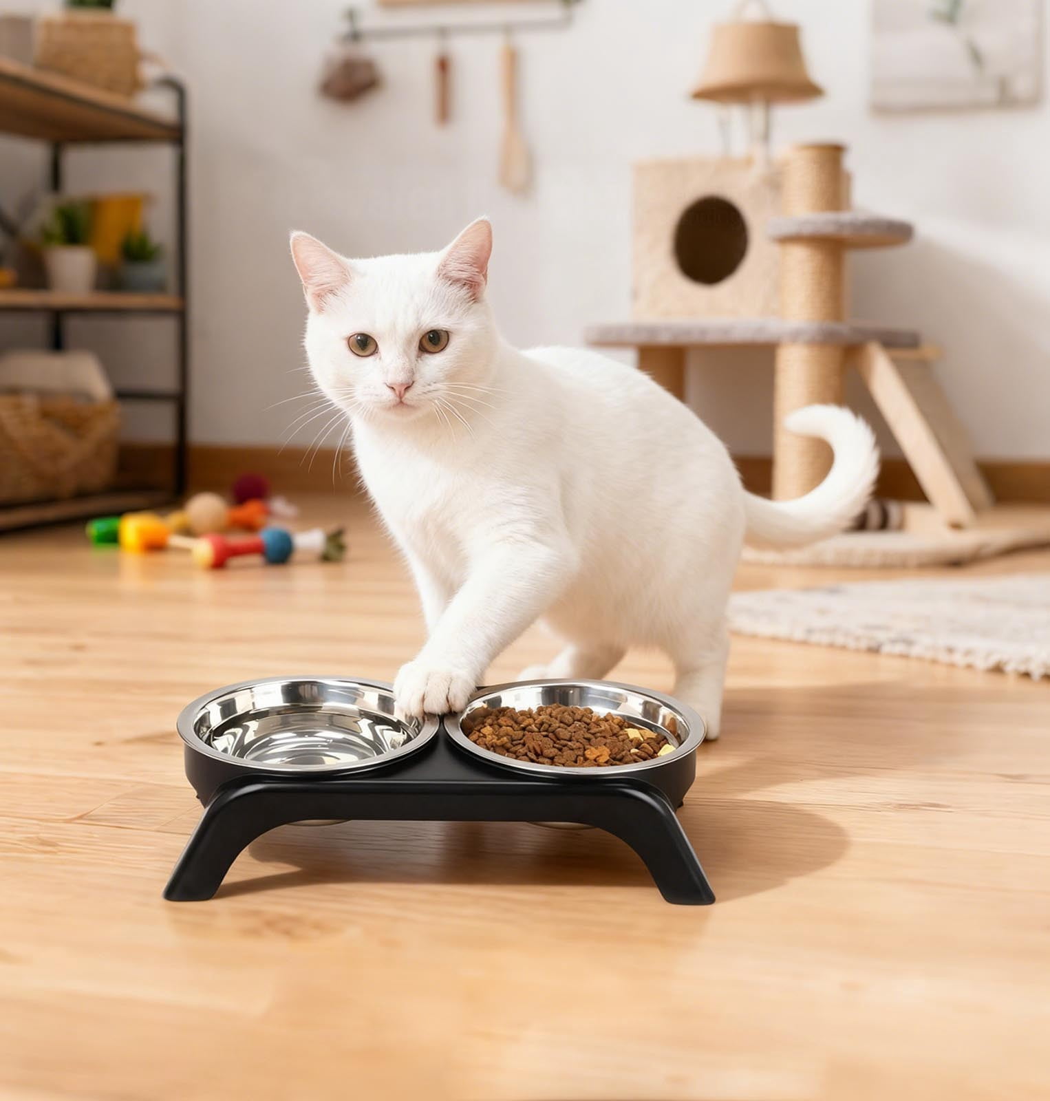 Elevated Cat Dog Bowls With Stand Adjustable Height Slow Feed Non Base Comfortable Dining Stainless Steel Indoor Pet Feeder