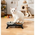 thumbnail image 3 of Bols d'Alimentation Surélevés avec Support pour Hauteur Réglable, Conception de Mangeoire Lente Sans Base, Convenant aux Repas Intérieurs et Extérieurs, Repas Confortables à l'Heure du Repas, 3 of 5