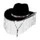 thumbnail image 1 of Sombrero de Vaquero para Hombre Perfecl Accesorios de Disfraz Negro, 1 of 8