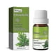 thumbnail image 1 of Aceite de citronela repelente de mosquitos 10 ml, 1 of 5