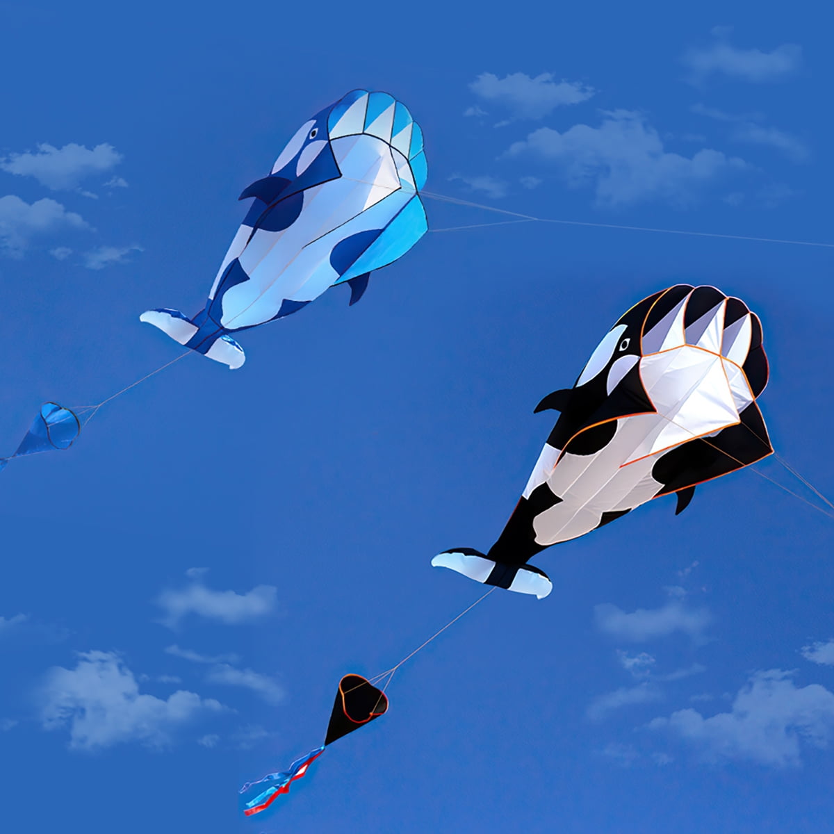 Kepooman 3D Huge Frameless Soft Whale with Kite String for Outdoor Games and Activities, Set of 2, Black & Blue Kepooman 3D Huge Frameless Soft Whale with Kite String for Outdoor Games and Activities, Set of 2, Black & Blue