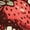 Red, variant on Sweet Strawberries Youth Red Crew Neck Short Sleeve Tee-Medium