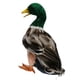 thumbnail image 2 of 4 piezas de adornos de animales para el hogar, jardín de hadas, decoración de jardín DIY, ánade real Mallard Duck L, 2 of 9