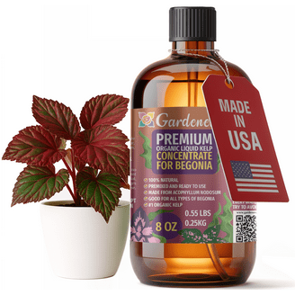 GARDENERA Premium Organic Seaweed & Kelp Superfood  for Philodendron Plants - 32 oz - Liquid Kelp Fertilizer Concentrate (Makes  180 ...