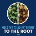 thumbnail image 5 of BioAdvanced Extended Control Brush Killer, Concentrate, 32 oz, 5 of 7