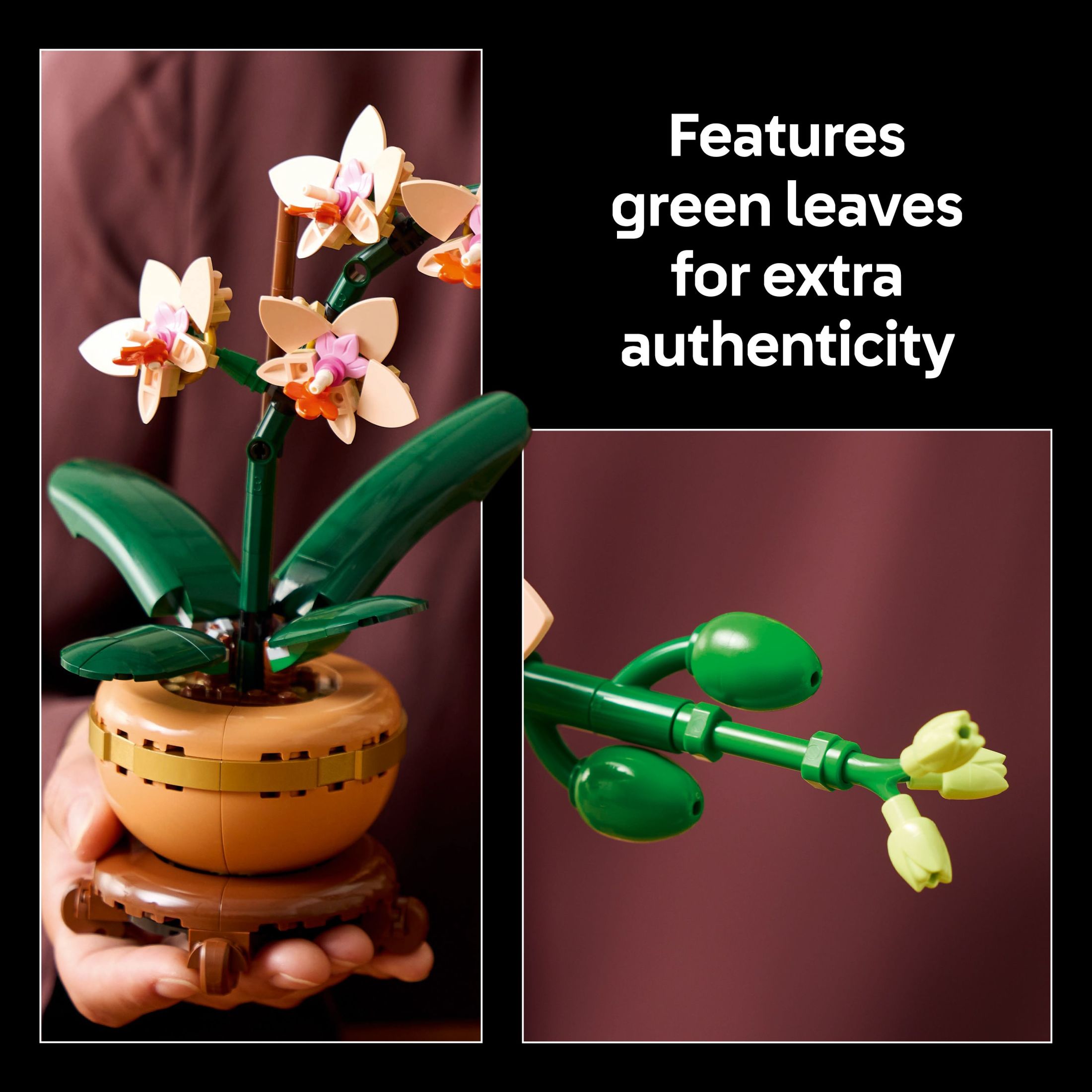 LEGO Botanicals Mini Orquídea Set de Construcción - Orquídea Artificial, Falsa para Decoración del Hogar, Adultos Mayores de 18 - Decoración de Planta de Interior para Mesa, Escritorio, Oficina - Regalo para Graduación - 10343 5