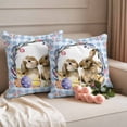 thumbnail image 2 of Easter Bunny Outdoor Waterproof Pillow Covers, Spring Easter Eggs Chick Floral Blue Check Decorative Square Throw Pillowcase Sofa Cushion Sham for Patio/Couch/Chair, 26"x26" 2 Pack, 2 of 8