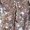 Black@GC@, variant on CONZONE Carnival Toddler Baby Girls Sequin T Shirts Sparkly Sleeveless Tee Shirt for Girls V Neck Soft Loose Festival Stage Performance Tops