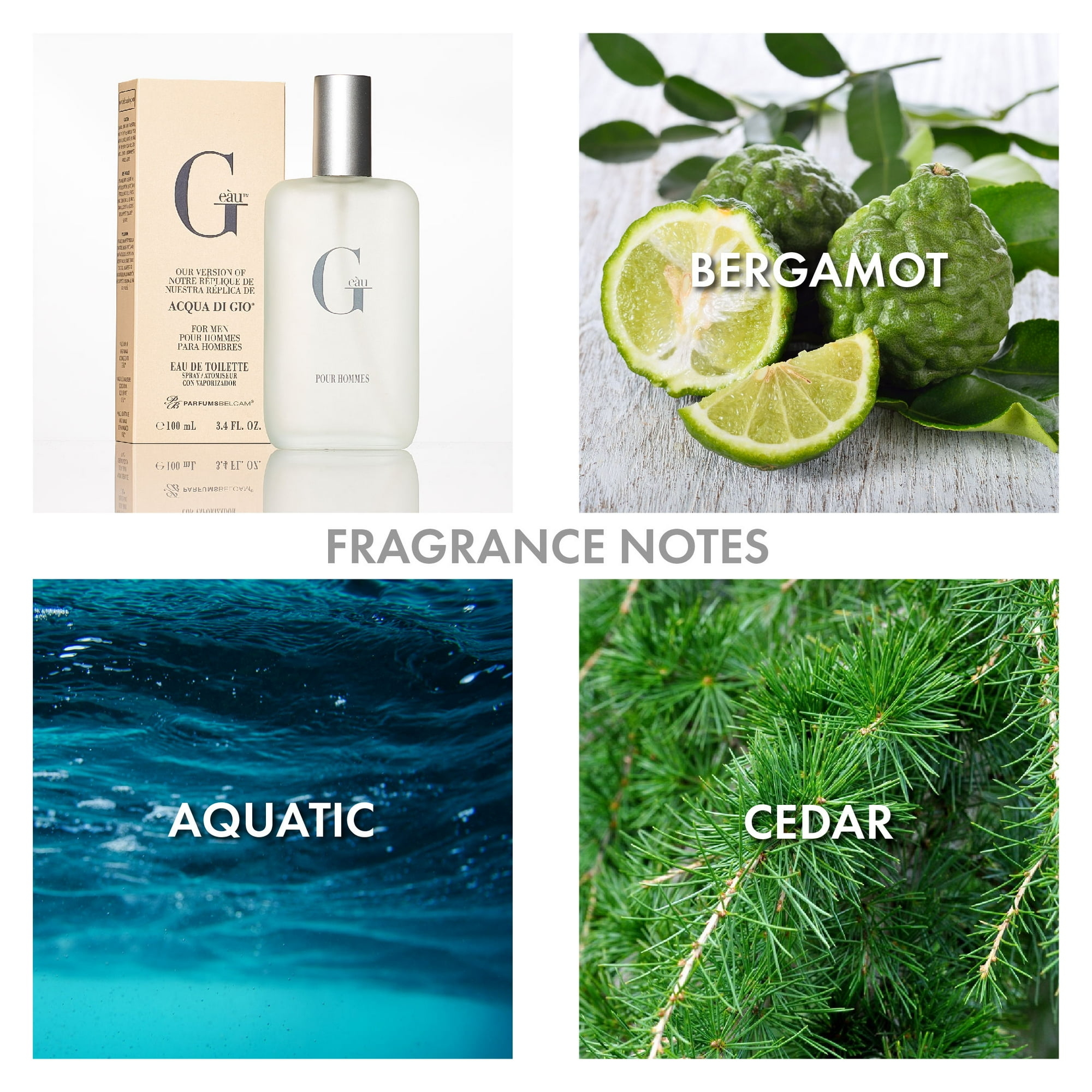 G eàu, version of Acqua di Gio*, by PB ParfumsBelcam, Eau de Toilette Spray for Men, 3.4 oz