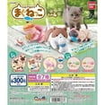thumbnail image 3 of Magnetite Cat Capsule Toy Animal Raccoon Puppet Car Ornaments Eat Fish Tiger Pattern Figure Movable Model Toys, 3 of 5