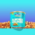 thumbnail image 4 of Blue Diamond® Roasted Sea Salt Almonds And More Mixed Nuts, 4 of 5