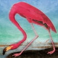 thumbnail image 3 of Grey, Jace 15x15 Black Modern Framed Museum Art Print Titled - Flamingo, 3 of 5