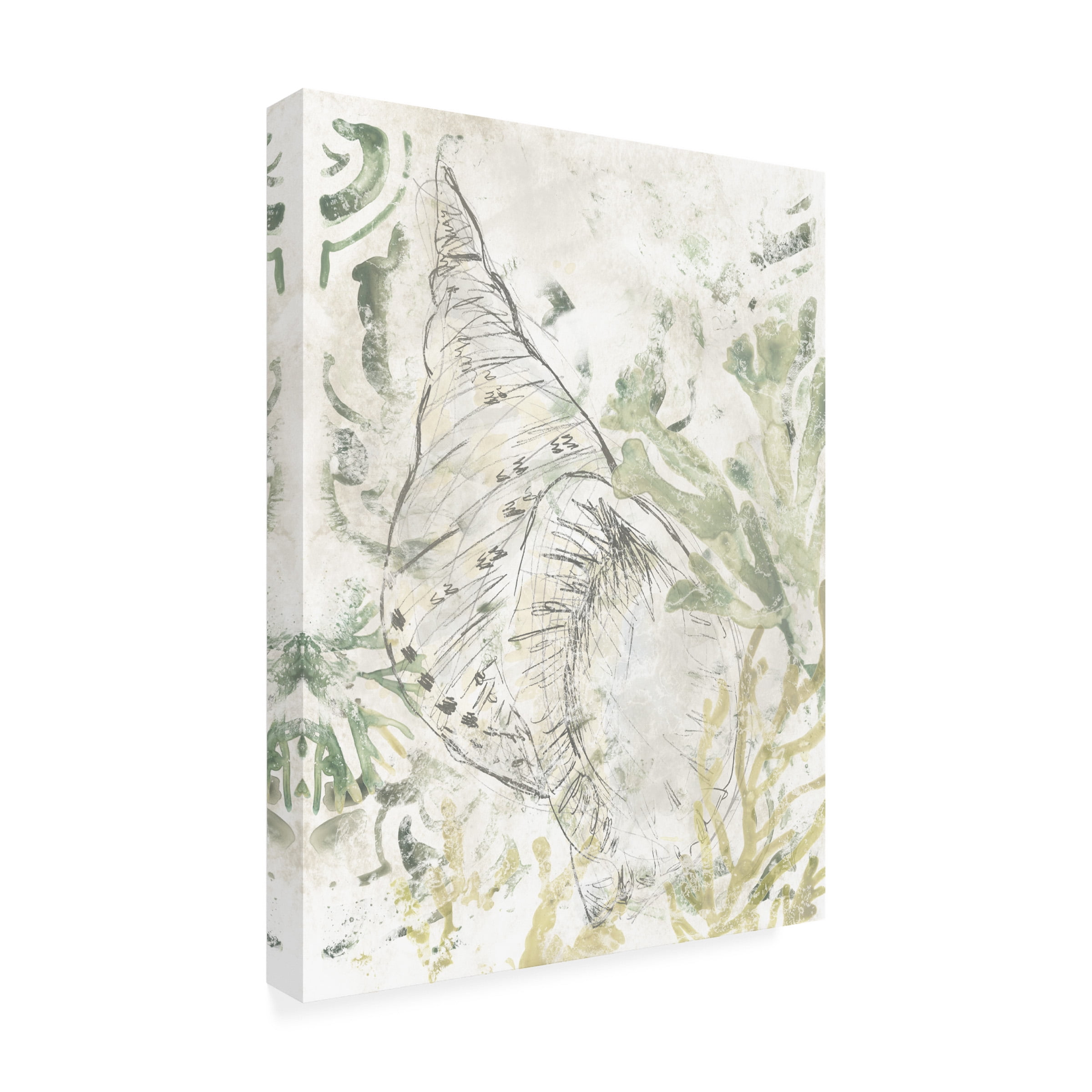 June Erica Vess 'Verdant Shell Fresco II' Canvas Art