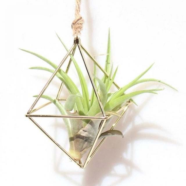 Hanging Air Plants Holder Rustic Wall Mount Irregular Geometric Metal Rack Accent Decor Rose Gold ( No Plants )