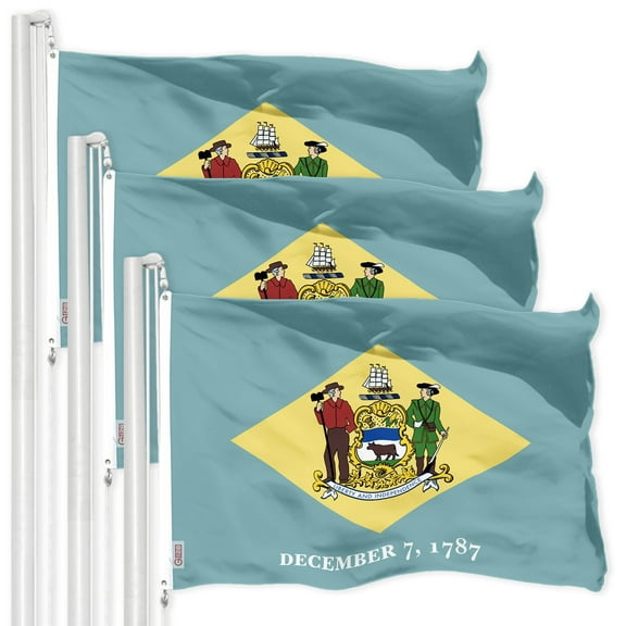 G128 3 Pack: Delaware DE State Flag | 3x5 Ft | LiteWeave Pro Series Printed 300D Polyester | Indoor/Outdoor, Vibrant Colors, Brass Grommets
