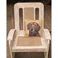 thumbnail image 2 of Carolines Treasures SC9137PW1414 Dachshund Wipe your Paws Fabric Decorative Pillow, 14Hx14W, multicolor, 2 of 4