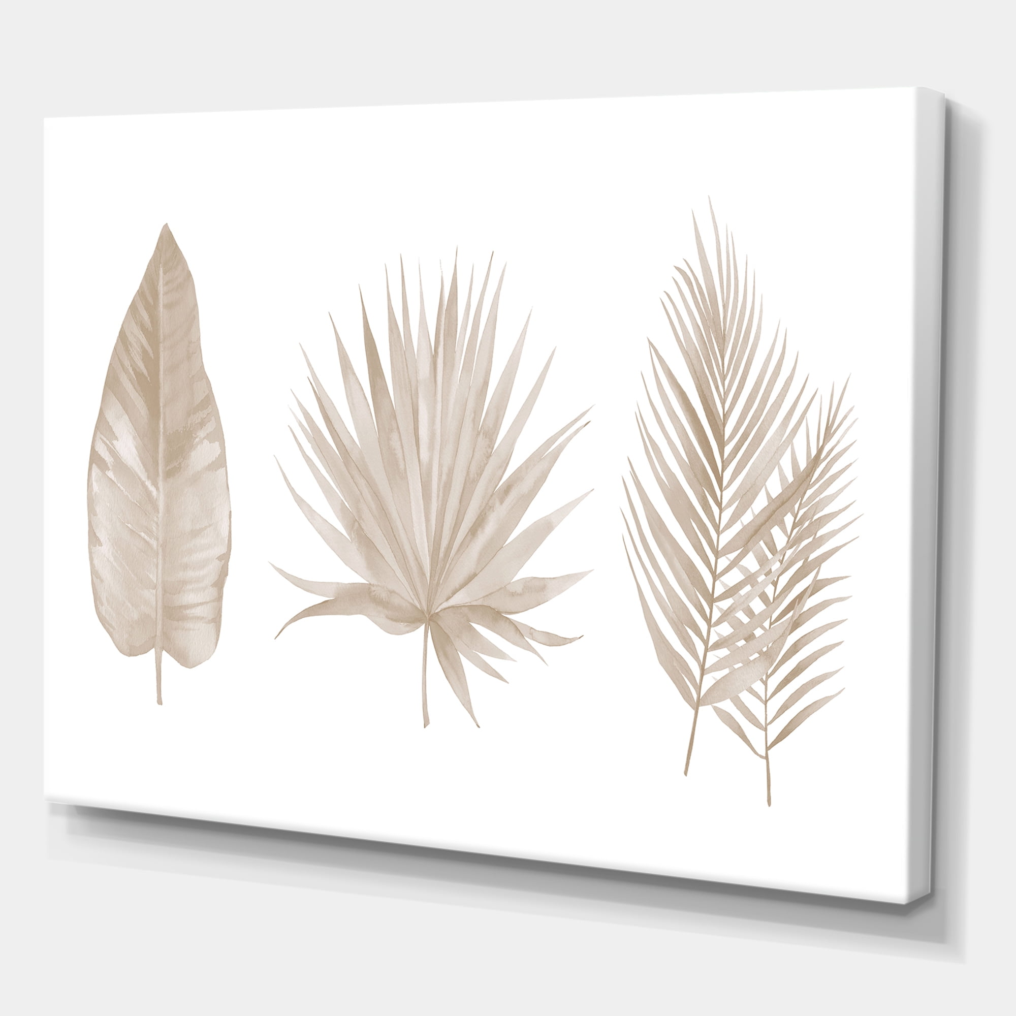 Designart ' Tropical Beiges Leaves On White ' Traditional Canvas Wall Art Print