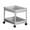 gray#494, variant on 2-Tier Mobile Utility Cart - Slim Rolling Organizer for Crafts, Plants or Bathroom, Compact Design