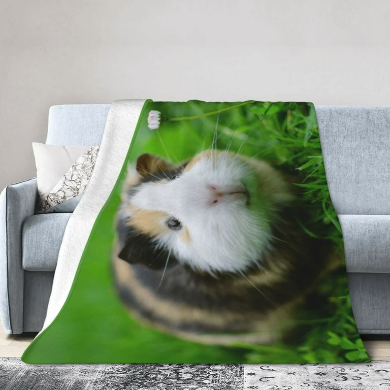 Guinea pig throw blanket sale