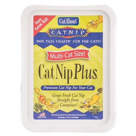CatA'bout CatNip Plus Easy Grow Kit 5.25 oz (250 mg) Catnip Seed