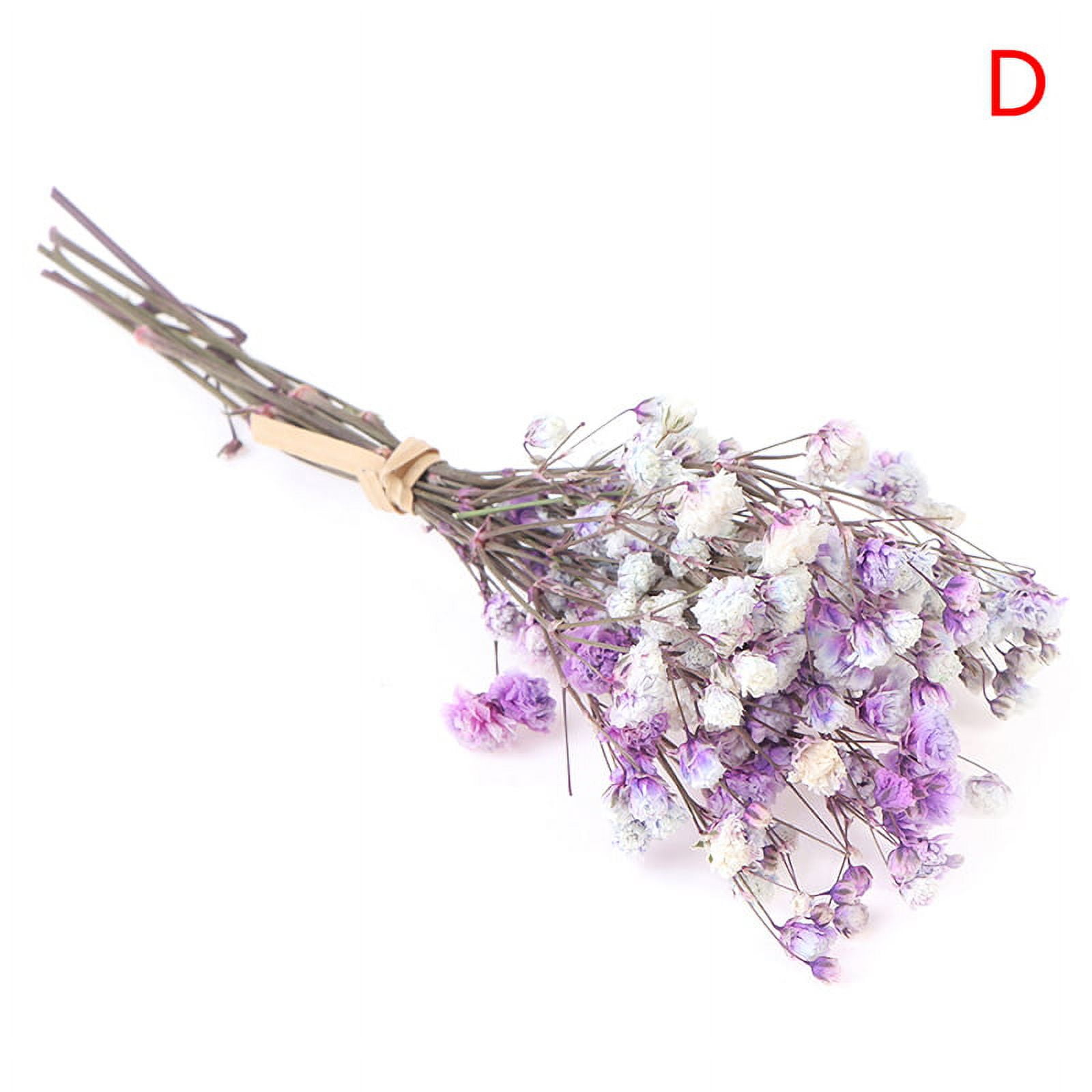 Haizang Design|Purple Star Shimmer. Romantic purple dry flower without  flower bouquet