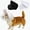 White, variant on Dog Face Cover, Dog Head Hood Foxtail Protection Breathable Mesh with Adjustable Buckle, Lightweight Pet Headwear Guard for Outdoor Walking Camping Hiking Travel.