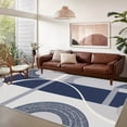 thumbnail image 5 of 4'x6' small carpet outside carpet boho area rug modern abstract area rug office area rug, 5 of 10