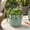 Green, variant on Sagebrook Home Classic Round Leaf Applique Flower Pots for Home Decor - Ceramic Planter with Leaf-Trim Design for Outdoor & Indoor Plants - 5", Brown