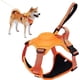 thumbnail image 1 of ATUBAN 2-in-1 Dog Harness,No Pull Pet Harness with Self-shrinking Leash,Auto Lock Function to Stop Dog Suddenly Running,Training ShopWise Round, 1 of 11