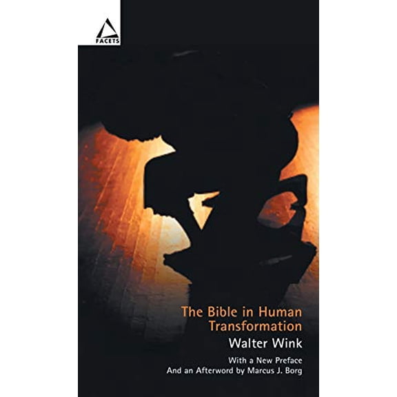 Pre-Owned The Bible in Human Transformation: Toward a New Paradigm in Bible Study (Paperback) 0800696336 9780800696337