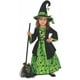 thumbnail image 1 of Rubie'S Disfraz de Bruja Infantil Verde X-Small, 1 of 5