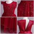 thumbnail image 5 of IDOPIP Girls Long Communion Princess Lace Dresses Flower Bridesmaid Pageant Party Wedding Floor Length Dance Evening Formal Gowns 11-12 Years Red, 5 of 6