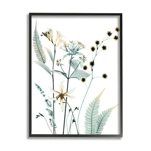 Stupell Industries Forest Garden Botanicals Translucent Plant Photography Black Framed Art Print Wall Art, 11x14, by Albert Koetsier