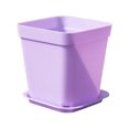 thumbnail image 1 of Miangastore Plastic Square Nursery Pot Purple 24Pcs 2.75X2.75X2.95 Inch, 1 of 8