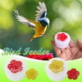 thumbnail image 1 of Fiudx Comedero para Colibríes, Comedero Colgante para Exteriores, Fácil de Instalar con Botella de Plástico, Material Seguro y No Tóxico, Perfecto para Jardín o Patio, Amantes de Las Aves, Tamaño 3 X, 1 of 7