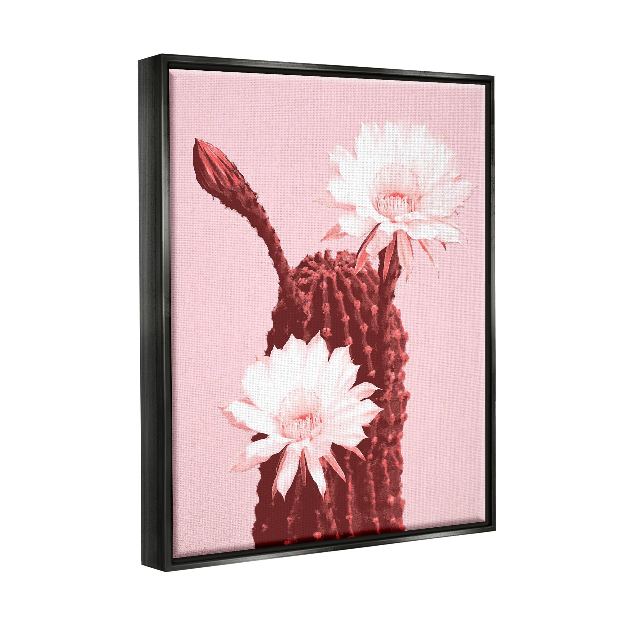 Stupell Industries Pink Cactus Flowers Botanical & Floral Painting Black Floater Framed Art Print Wall Art, 17 x 21