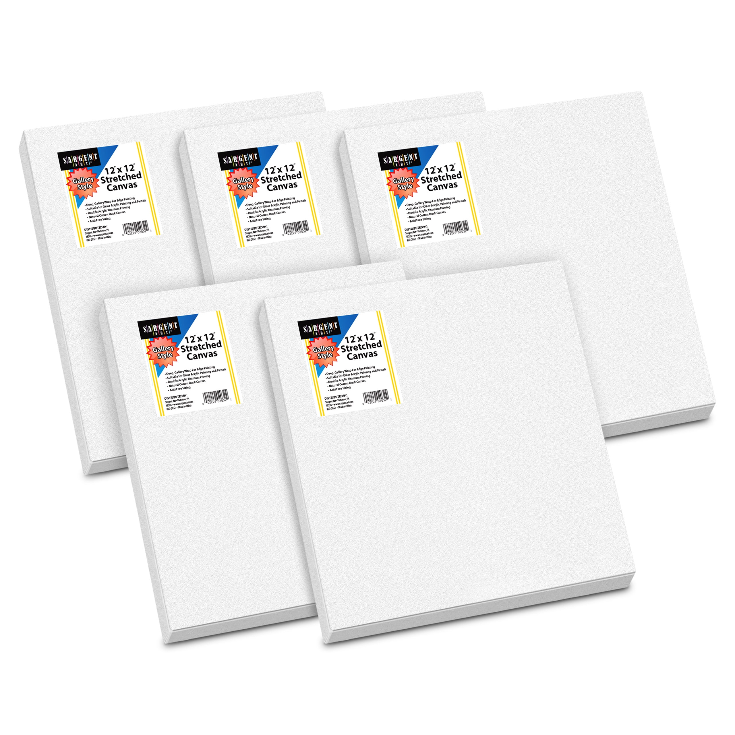 Sargent Art 11 x 14 inch Non Stretched Canvas Panel Acrylic Pouring & Wet Media and Art Projects Blank White Canvases Perfect for Acrylic Oil Double Acrylic Titanium Priming 