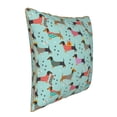 thumbnail image 2 of Haiem Christmas Dachshund Print Velvet Soft Solid Decorative Square Throw Pillow Covers Set with Elegant Piping Christmas Cushion Case for Sofa Bedroom Car-16"x16", 2 of 8