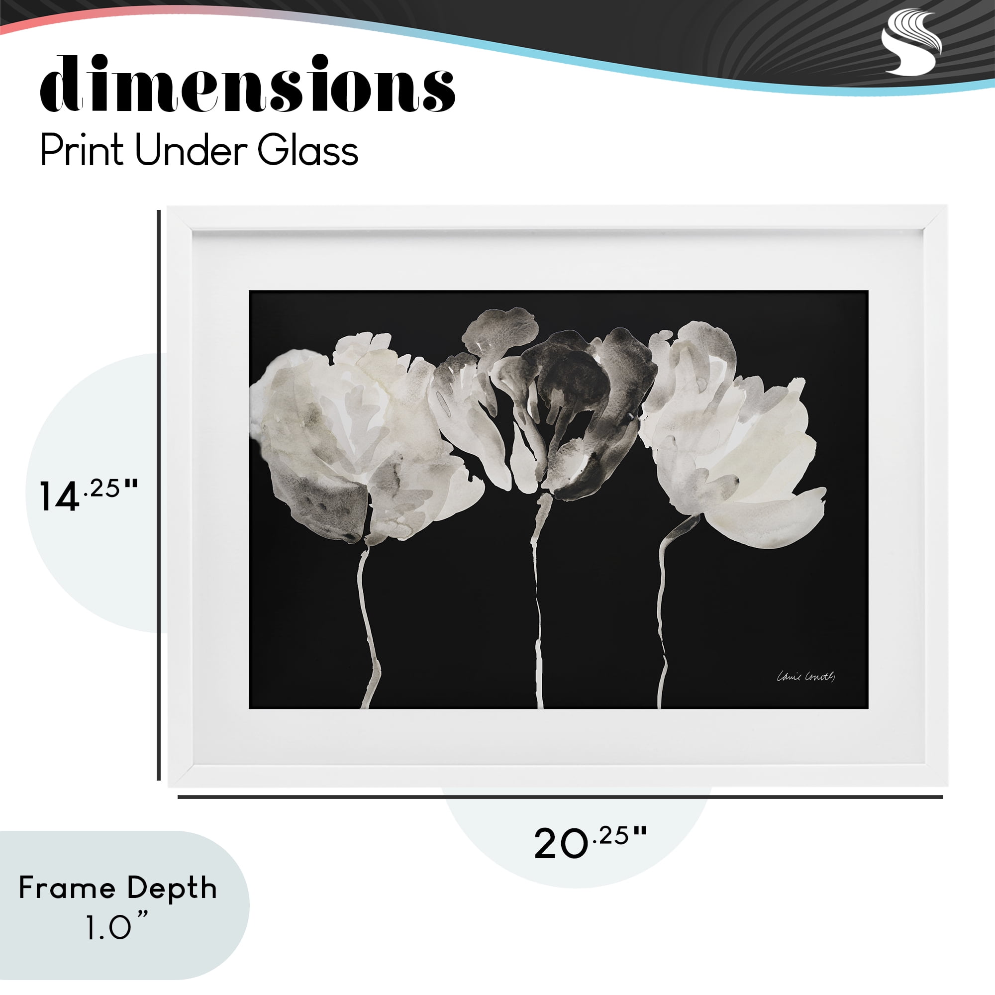 Stupell Industries Trio In Light On Black White Framed Print Under Glass, design by Lanie Loreth