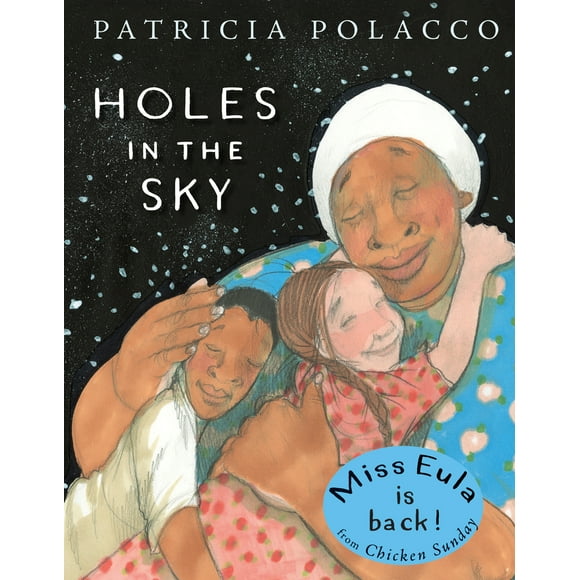 Pre-Owned Holes in the Sky (Hardcover) 1524739480 9781524739485