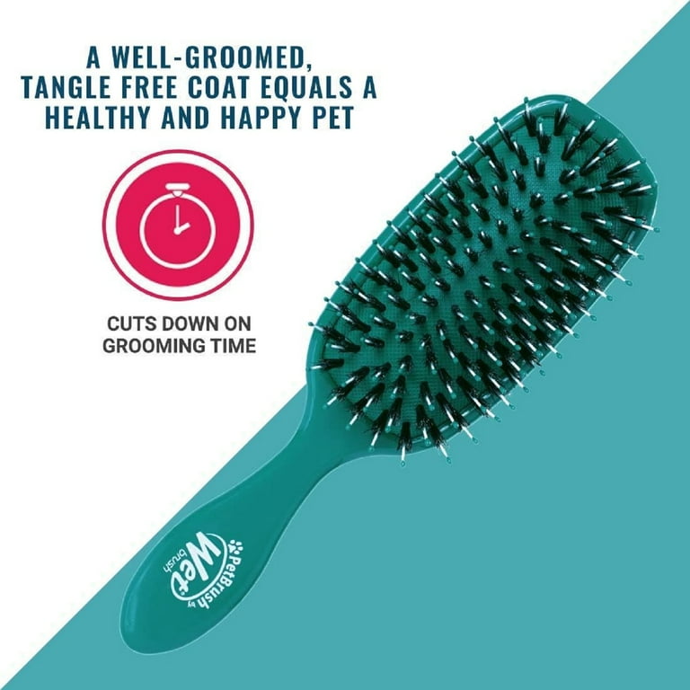 PETBRUSH BY WETBRUSH Detangler Dog Brush, Teal, Large 