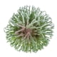 thumbnail image 5 of Mini plantas artificiales sin maceta, flores de plástico, árbol de escritorio 3 15cm, 5 of 9